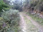 15092010093.jpg