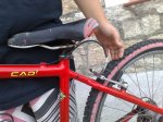 07092010257.jpg