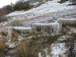 IMG_1543.jpg