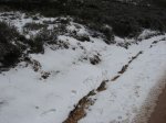 IMG_1534.jpg