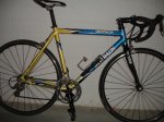 DSC08441.jpg