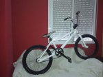 15092010537.jpg