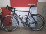 focus izalco.jpg
