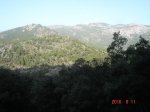 caz 07.jpg