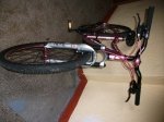 DSCF1073.JPG