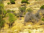 DSCN2021-1.jpg