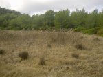 Imagen0086.jpg