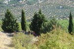 DSC04931 [].JPG