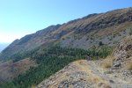 DSC04940 [].JPG