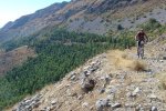 DSC04944 [].JPG