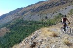 DSC04945 [].JPG