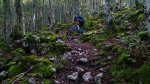 Alpine160.jpg