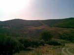 (00)19092010(003).jpg