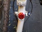 2010-09-18_16-33-57_622.jpg