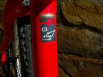 bici 303.jpg