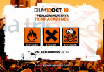 CARTELL TRINXA 2010.png