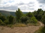 CIMG0568_low.JPG