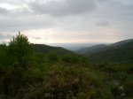 CIMG0558_low.JPG