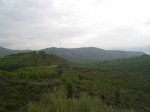CIMG0546_low.JPG