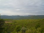 CIMG0535_low.JPG