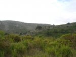 CIMG0557_low.JPG