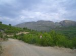 CIMG0544_low.JPG
