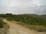 CIMG0554_low.JPG