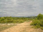 CIMG0562_low.JPG