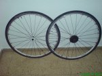 DSC00664.jpg