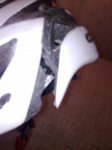 18092010074.jpg