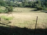 laracha 019.JPG