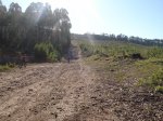 DSC00057.jpg