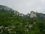 CIMG0734 (2).jpg