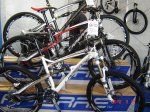 fbk 004.jpg