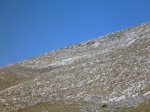 P1000247.jpg