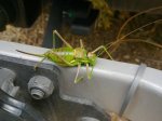 14082010305.jpg
