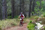 salzadella 2010 fali.jpg