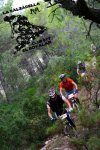 salzadella 2010 2.jpg