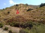 18092010537-2.jpg