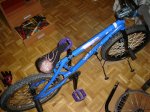 DSC01748.JPG