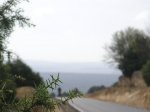 PICT0036~1.JPG