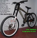 Vendo.JPG