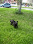 100_5099.jpg