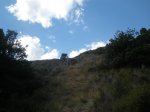 buÃ±ol 006.jpg