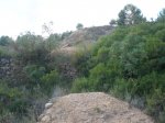 buÃ±ol 012.jpg