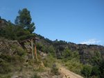 buÃ±ol 004.jpg