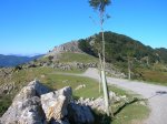 DSCN4001.jpg