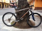 KONA 003.jpg