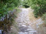 Limpieza- 17.jpg