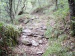 Limpieza- 13.jpg